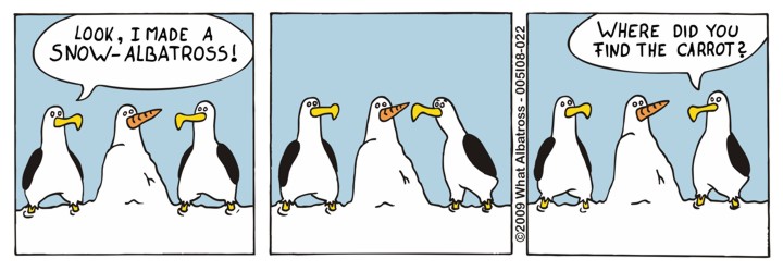 Snow-Albatross